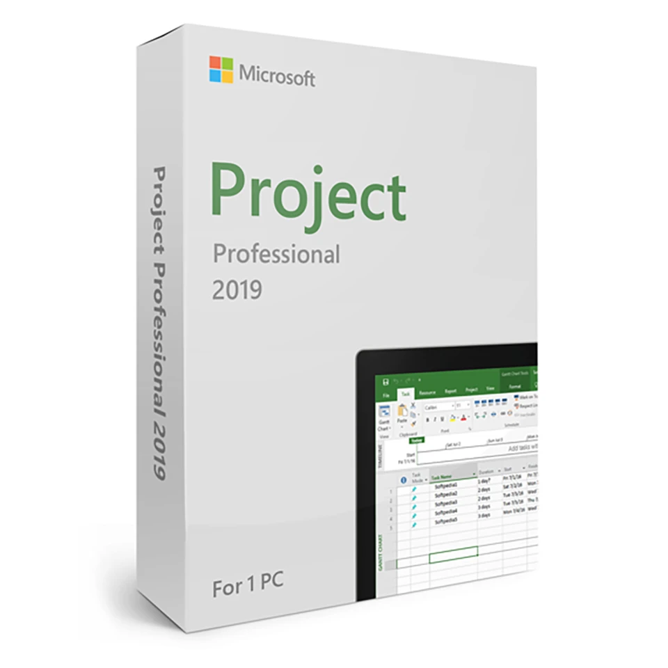 Microsoft Project 2019 Professional for PC